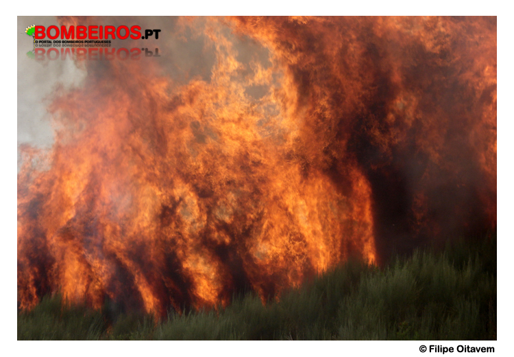 Imagem 06