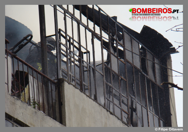 Imagem 11
