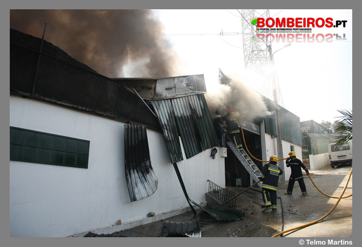 Imagem 08
