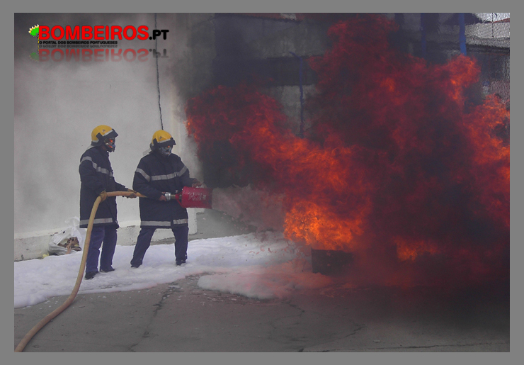 Imagem 07