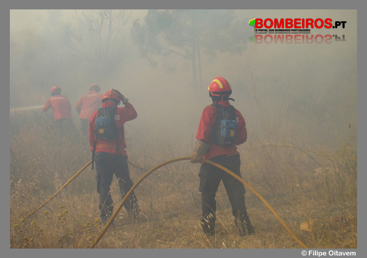 Imagem 47