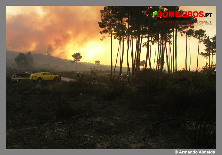 Imagem 30