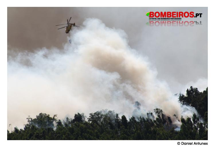 Imagem 19