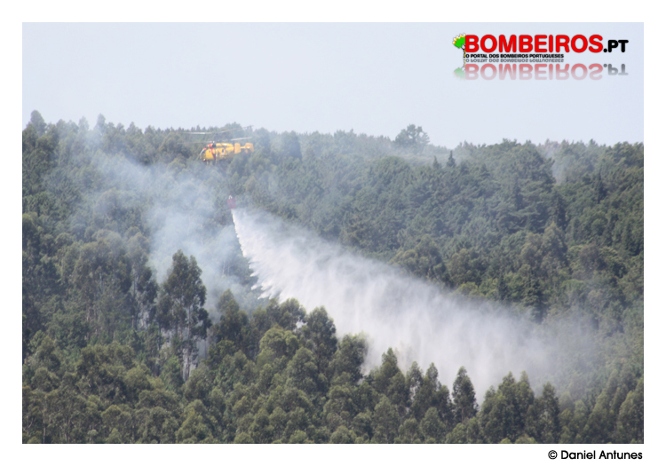 Imagem 26