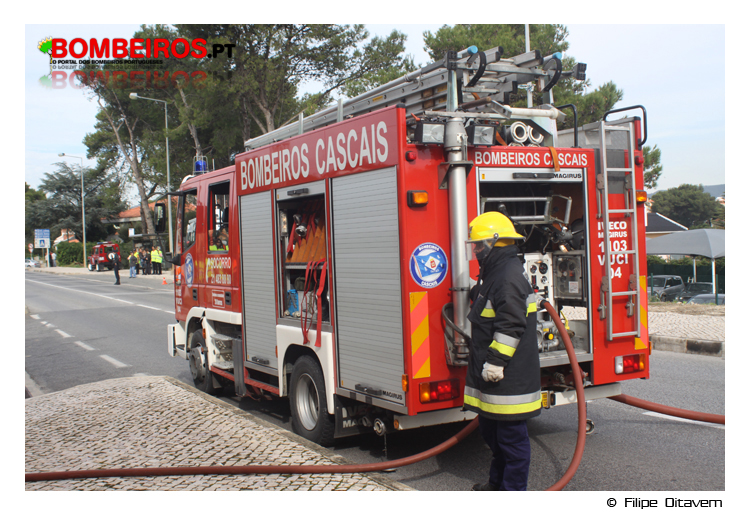 Imagem 15