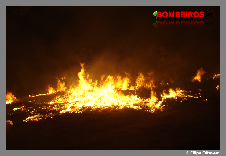 Imagem 01