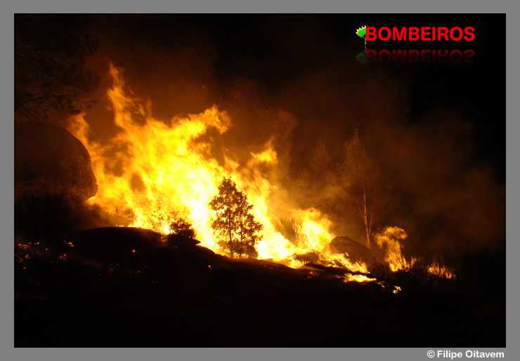 Imagem 03