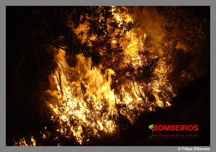 Imagem 79