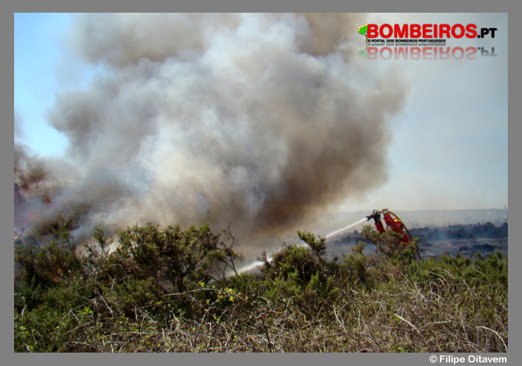 Imagem 15