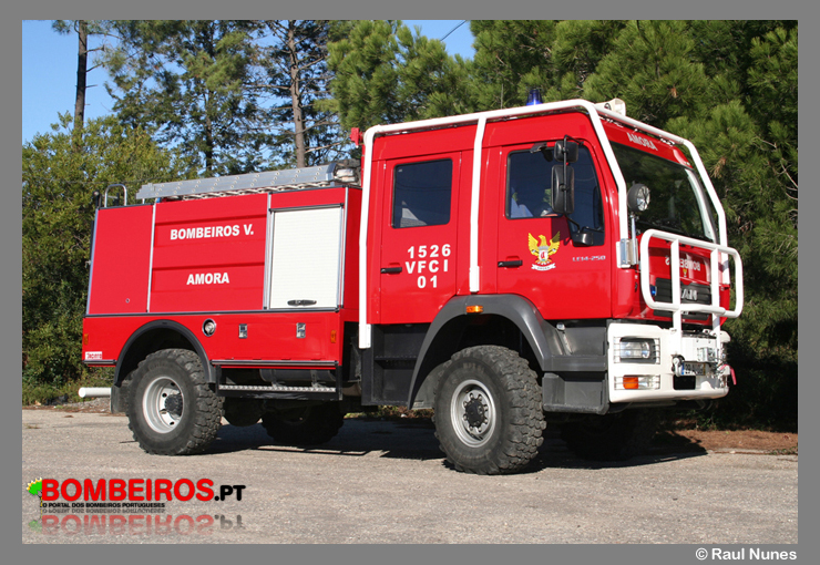 Amora - VFCI 01