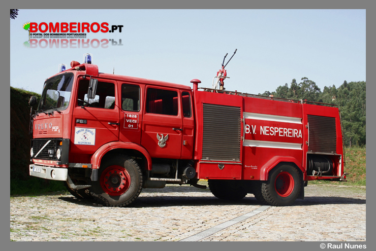 Nespereira - VECI 01