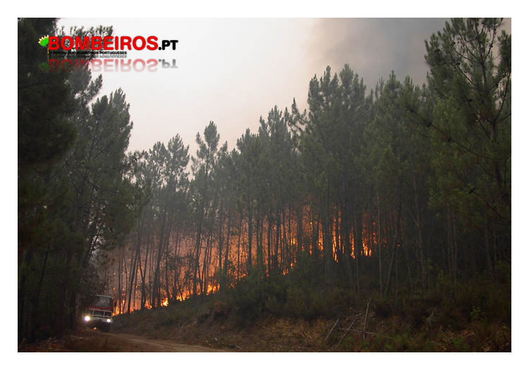 Imagem 953