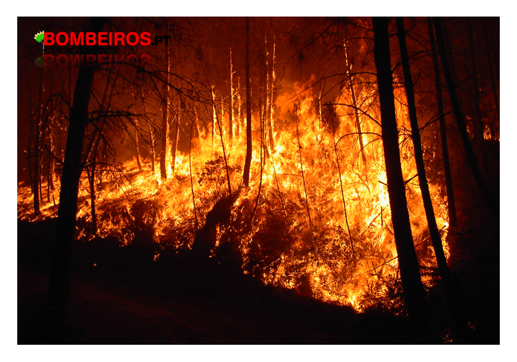 Imagem 960