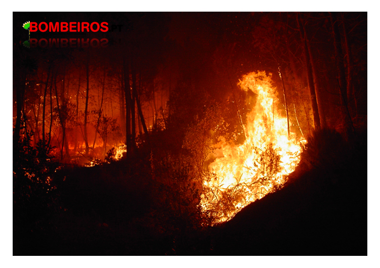 Imagem 965
