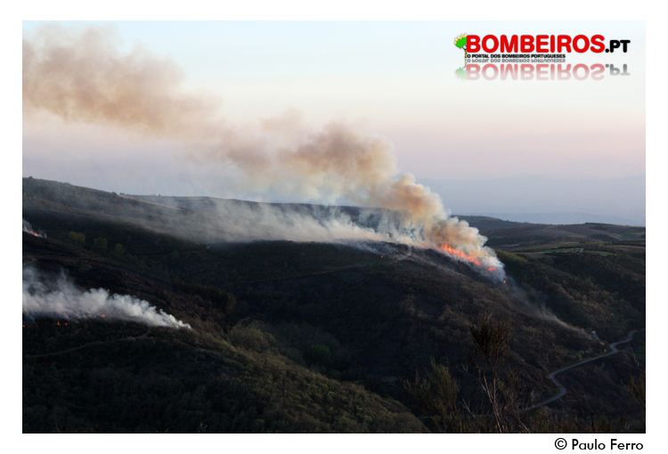 Imagem 973