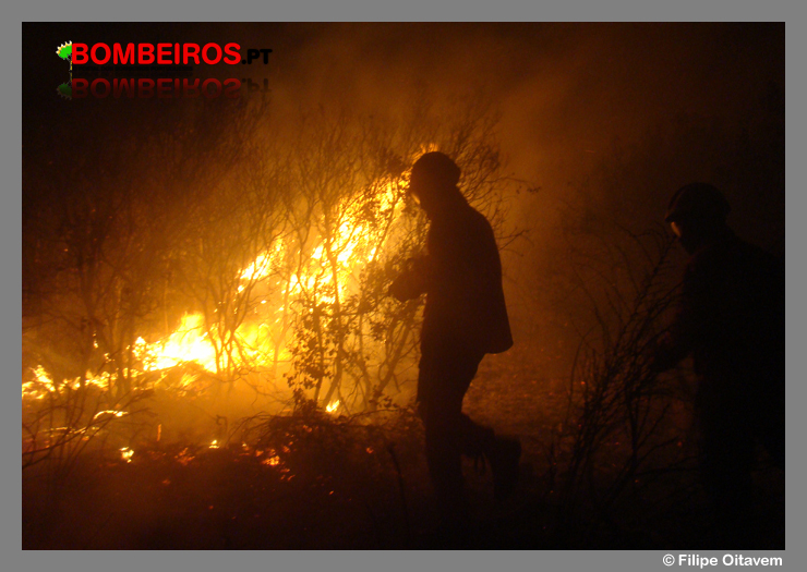 Imagem 89