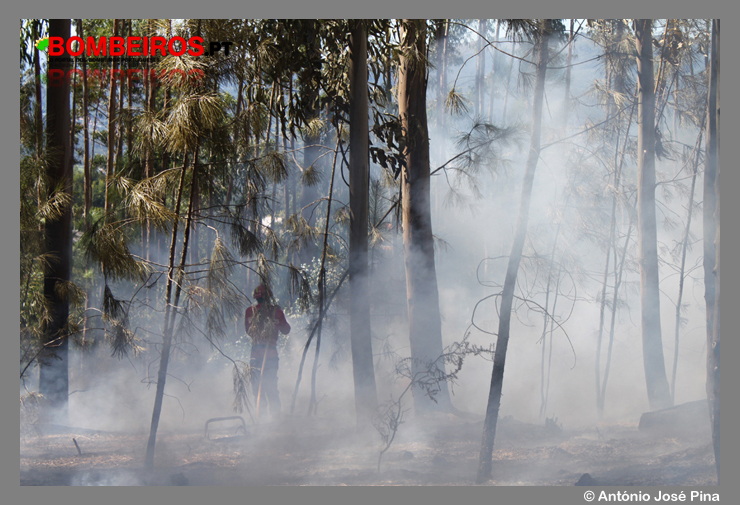 Imagem 02