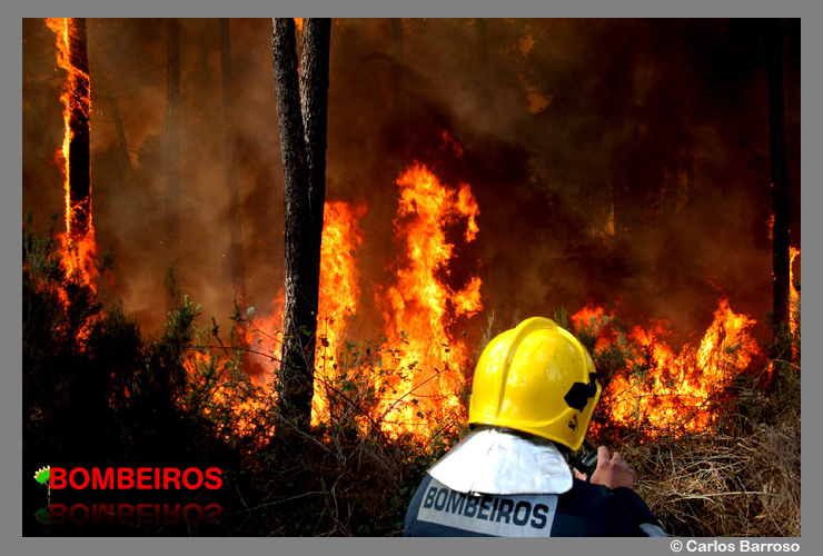 Imagem 239