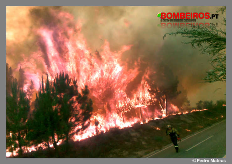 Imagem 277