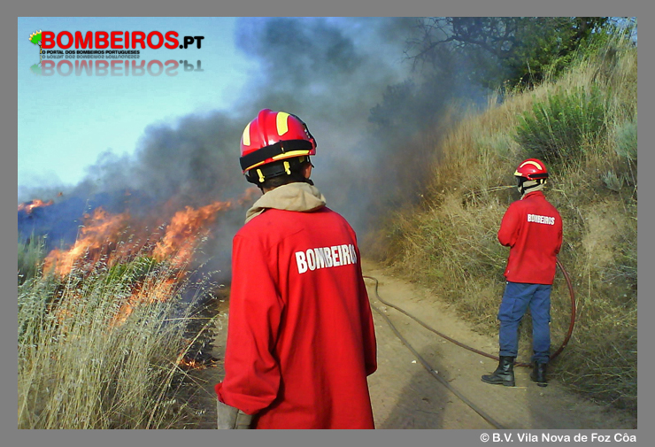 Imagem 536