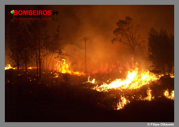 Imagem 583