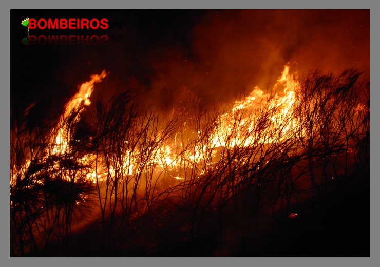 Imagem 774