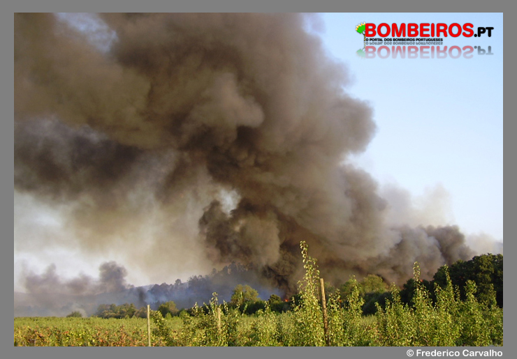 Imagem 31