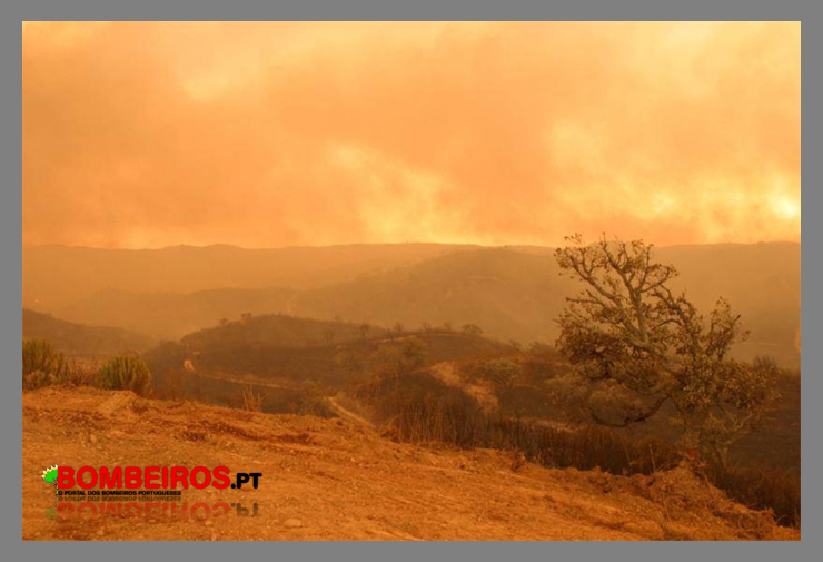 Imagem 09