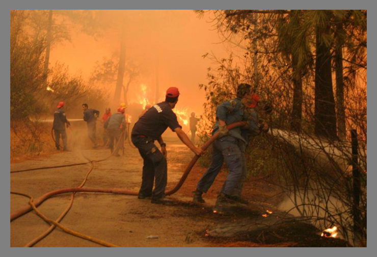 Imagem 18