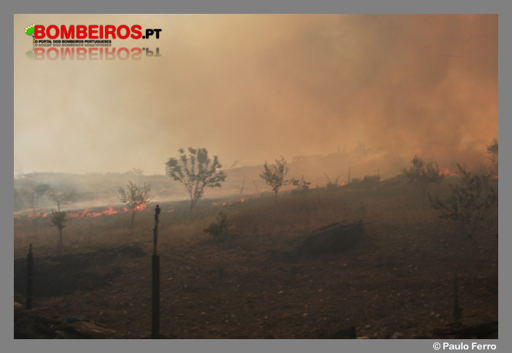 Imagem 59