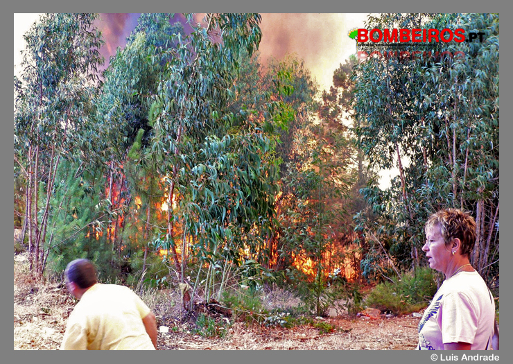 Imagem 01