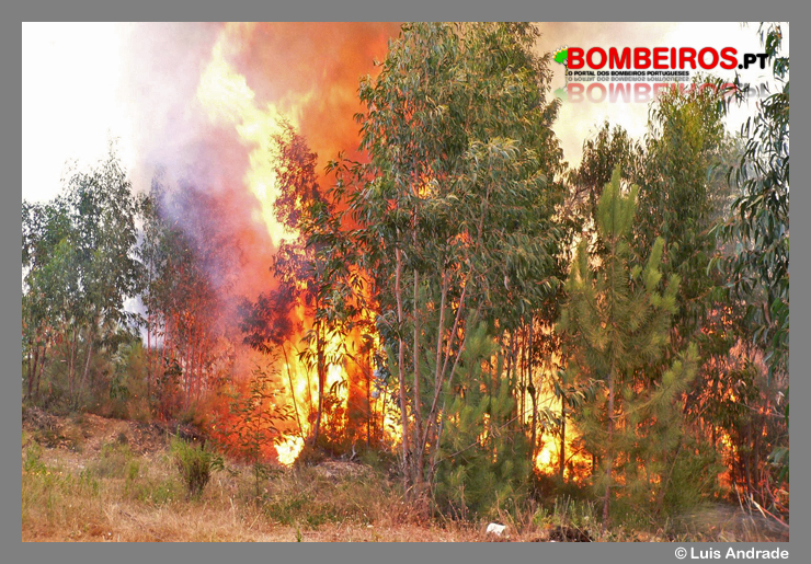 Imagem 02