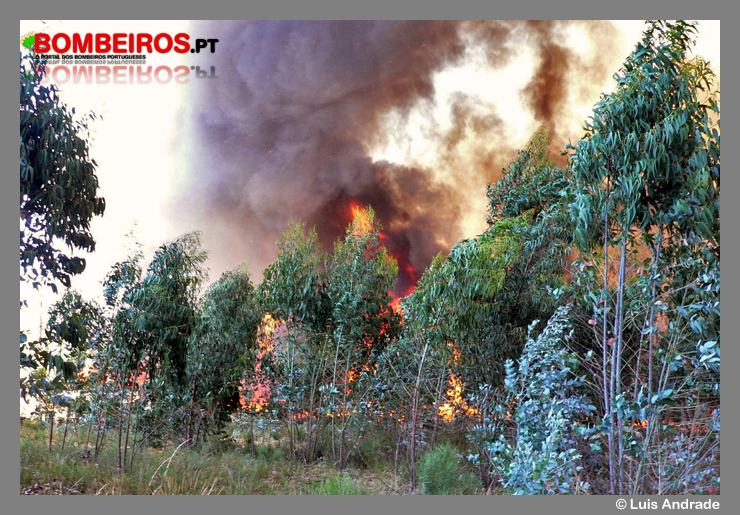 Imagem 05