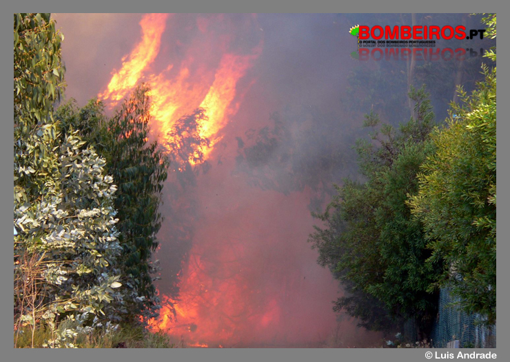 Imagem 08