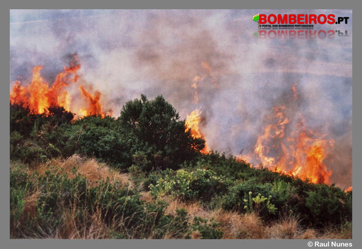 Imagem 07