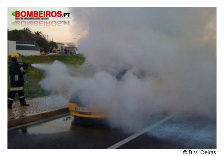 Imagem 14