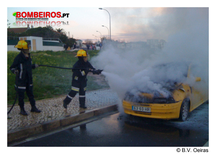 Imagem 17