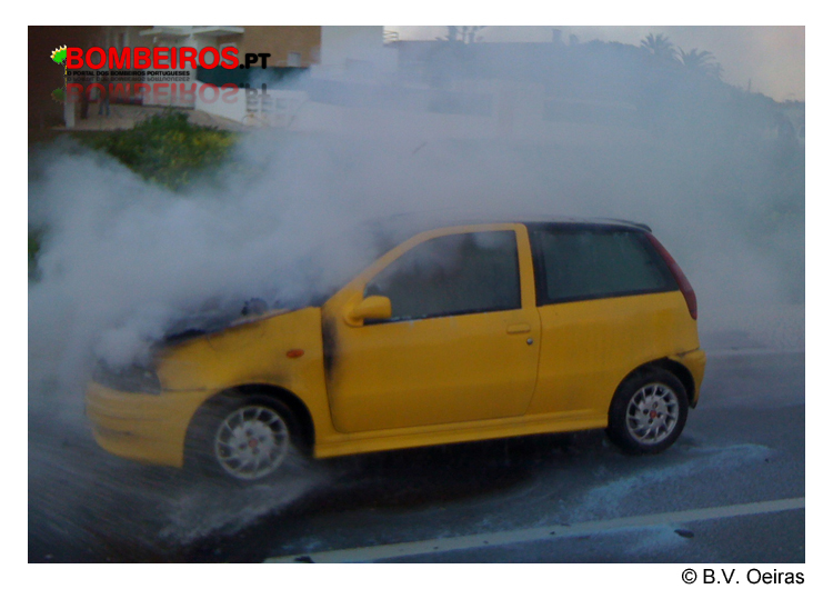 Imagem 19