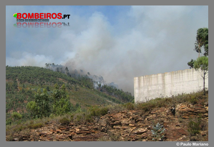 Imagem 11