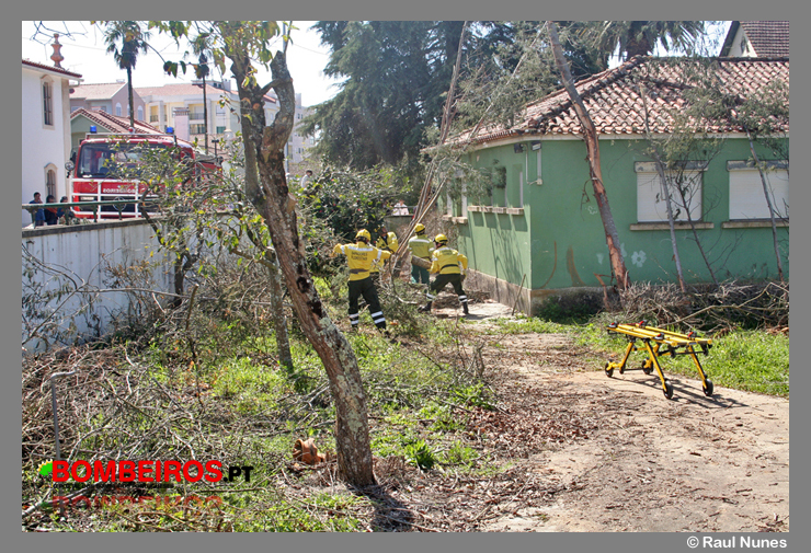 Imagem 08