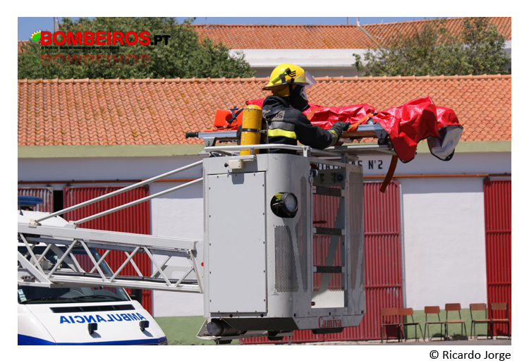 Imagem 15