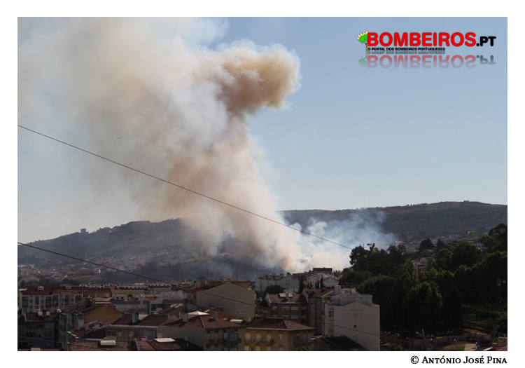 Imagem 13