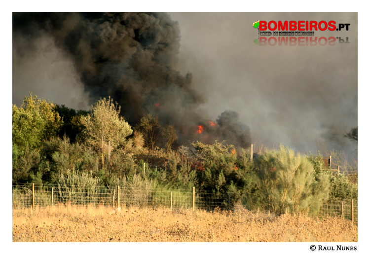 Imagem 07