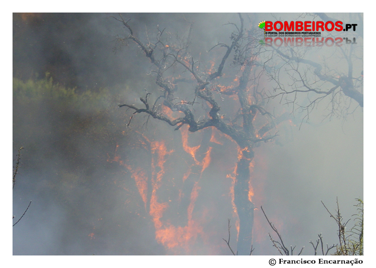 Imagem 01