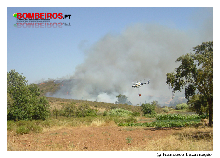 Imagem 10
