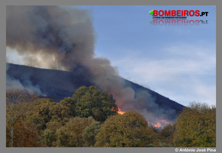 Imagem 14