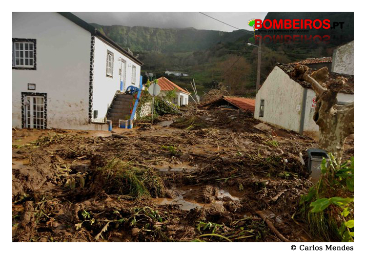 Imagem 11