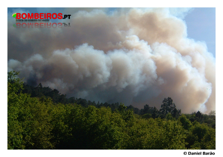 Imagem 06