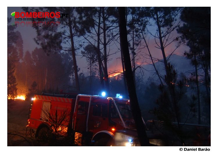 Imagem 11