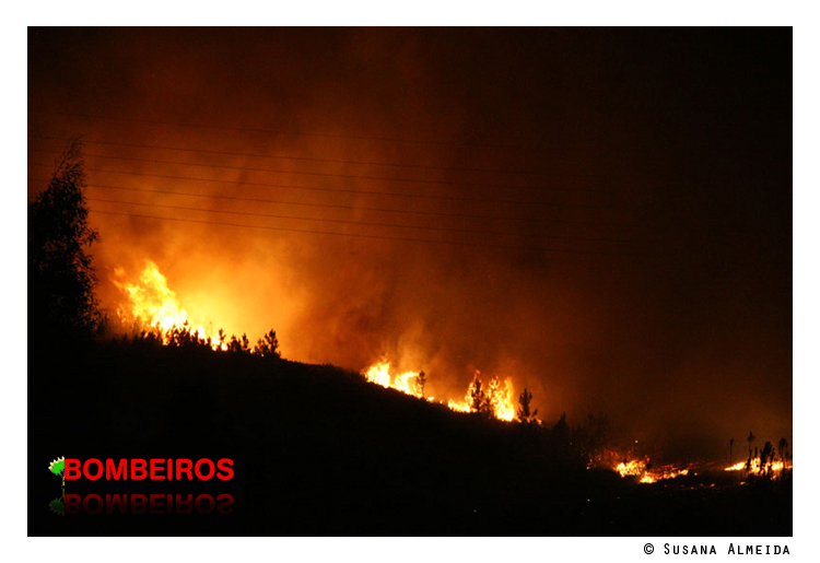 Imagem 11